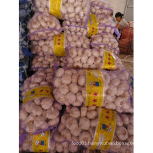 Big garlic/Alho bulbs/Ail/garlic price per ton from China